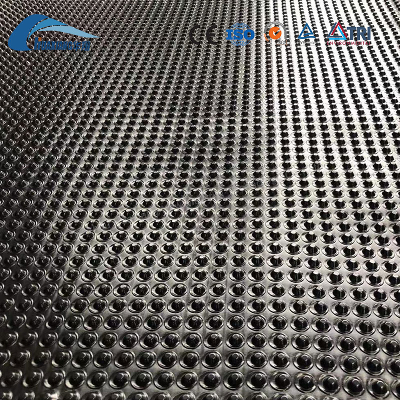 Chinese Products Wholesale HDPE Dimpled Plastic Drainage Sheet Waterproofing Drainage Board
