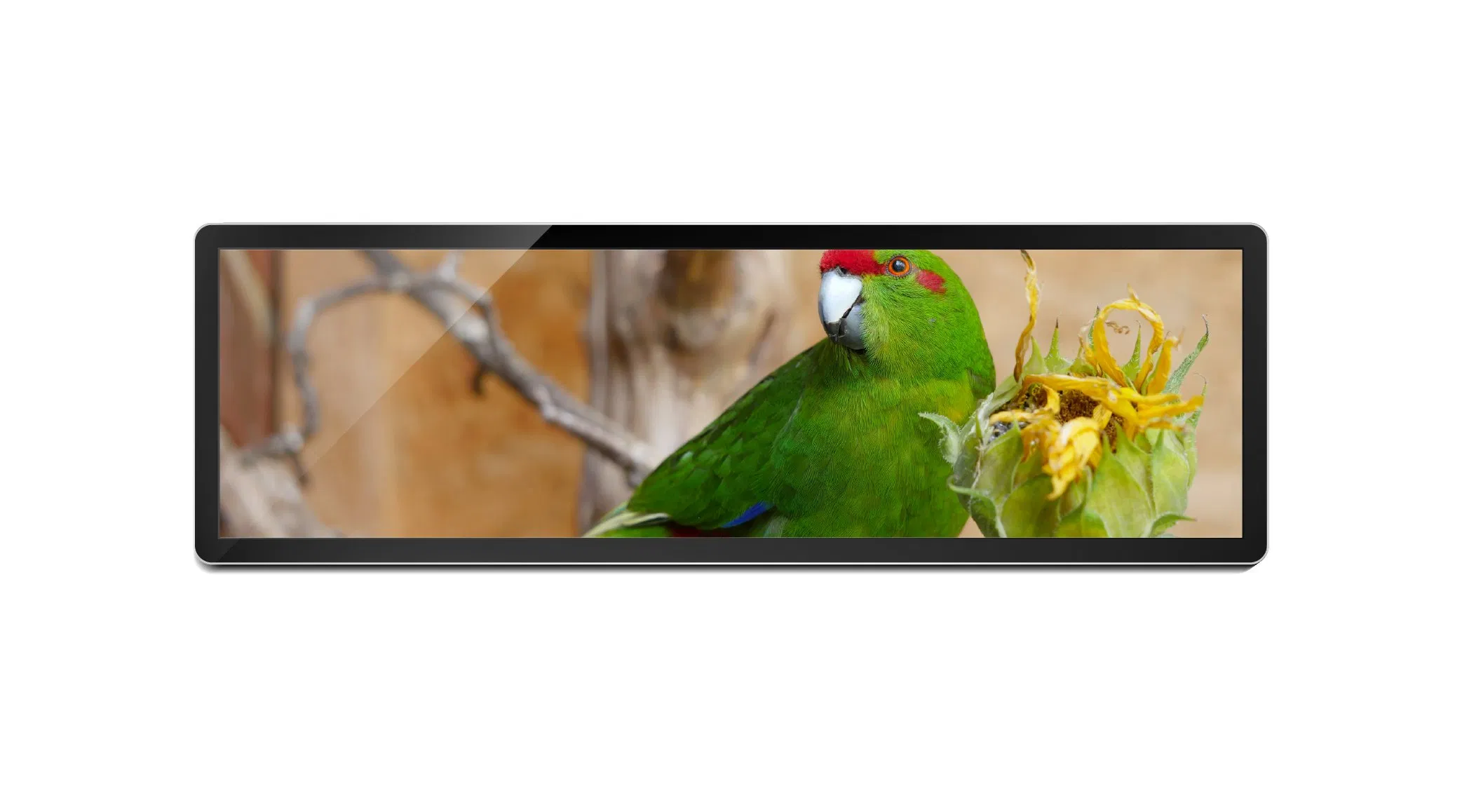 LED Backlit 28.6-Inch LCD Screen for Passenger Information