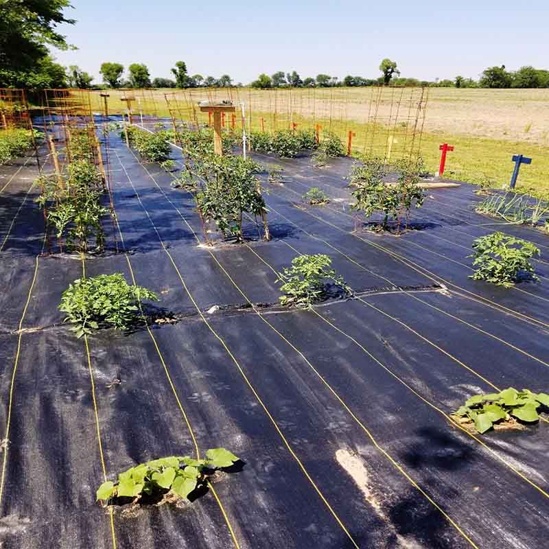 Garden Landscape Fabric Weed Barrier Woven Fabric Heavy Duty Ground Cover Mat