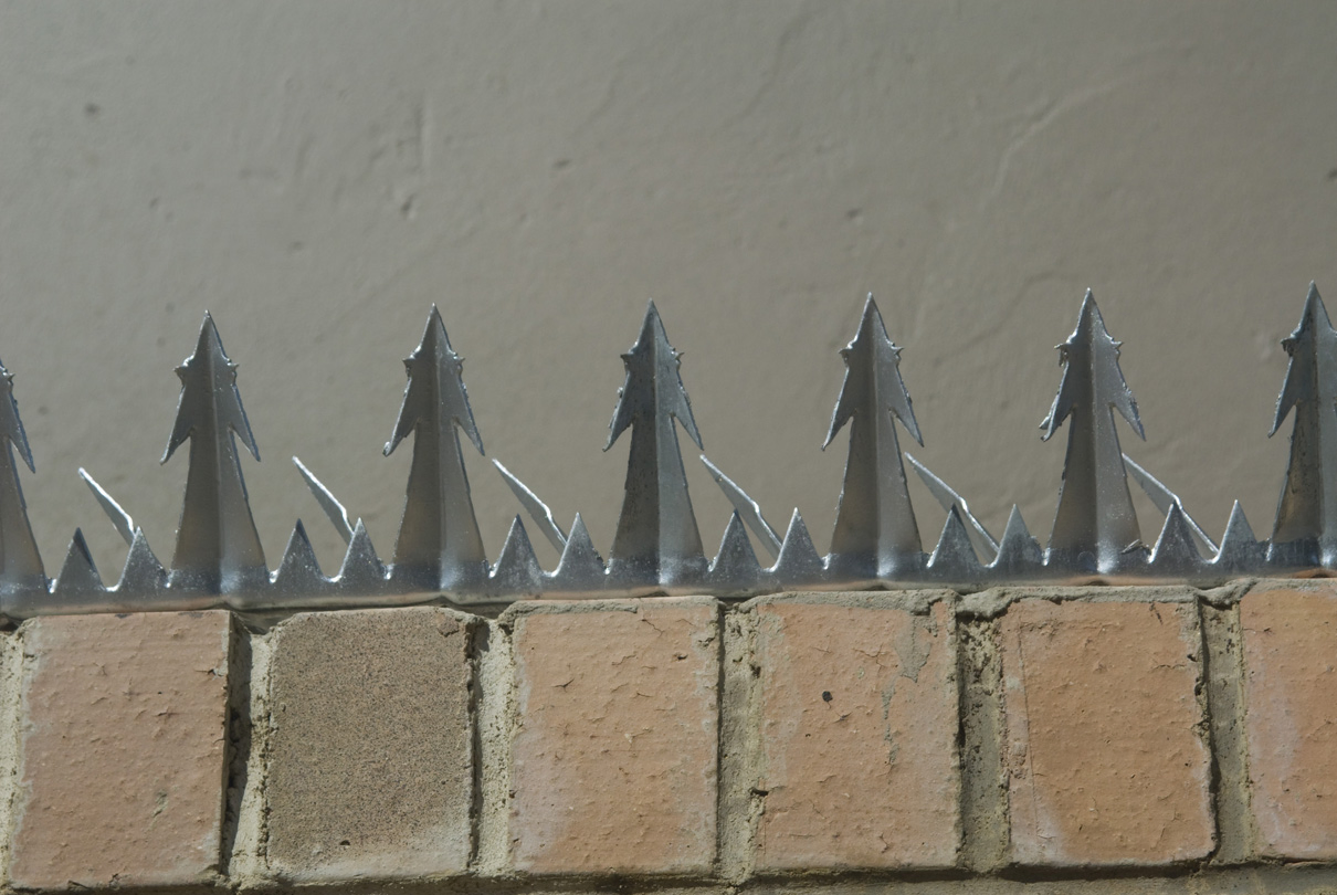 Galvanized Wall Spike Supplier