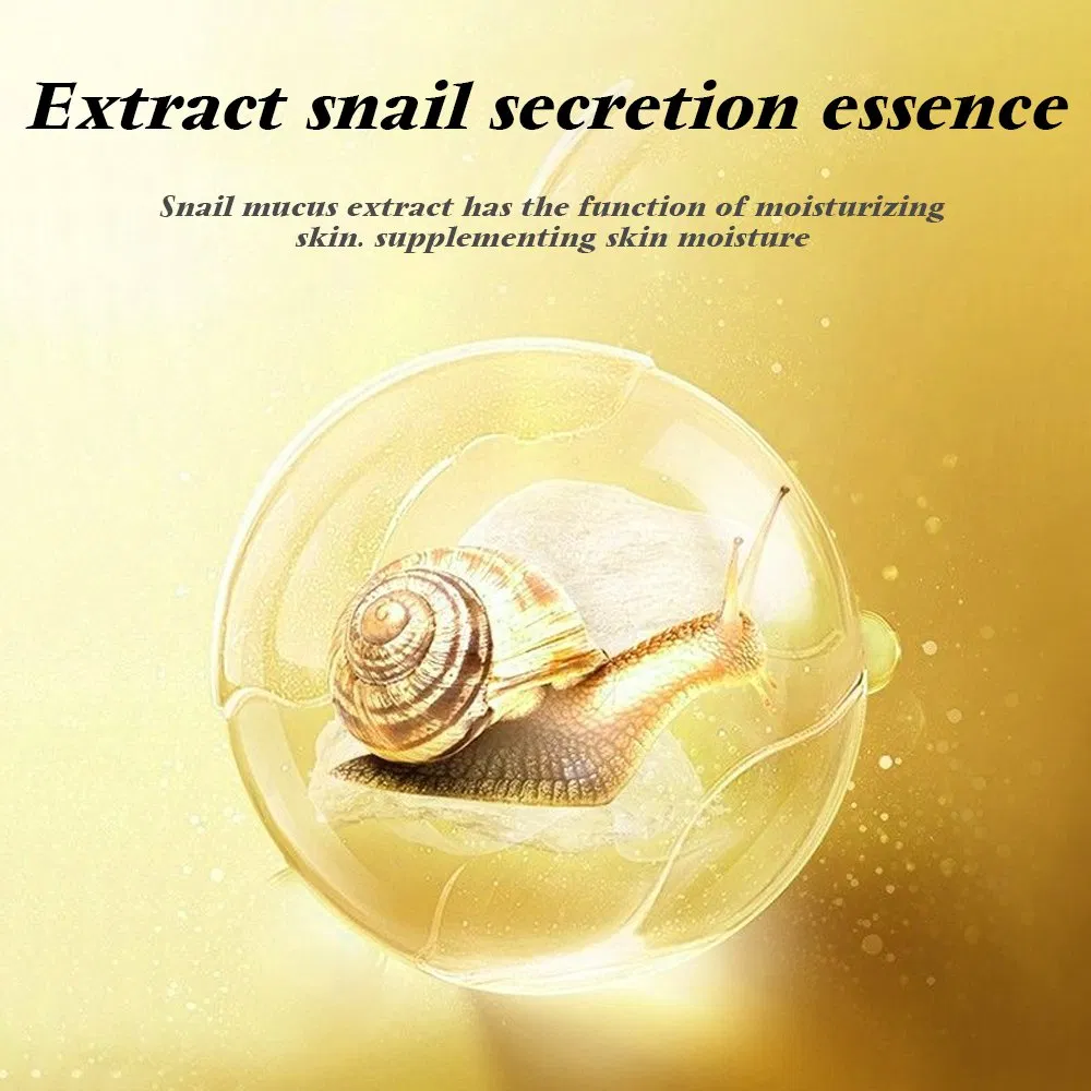 Beauty Cosmetics Skin Care Reduce Fine Lines Wrinkles Snail Mucin Skin Care Set
