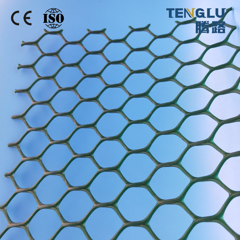 Plastic Geonet for Grass and Protecting Soil Loss and Water Erosion