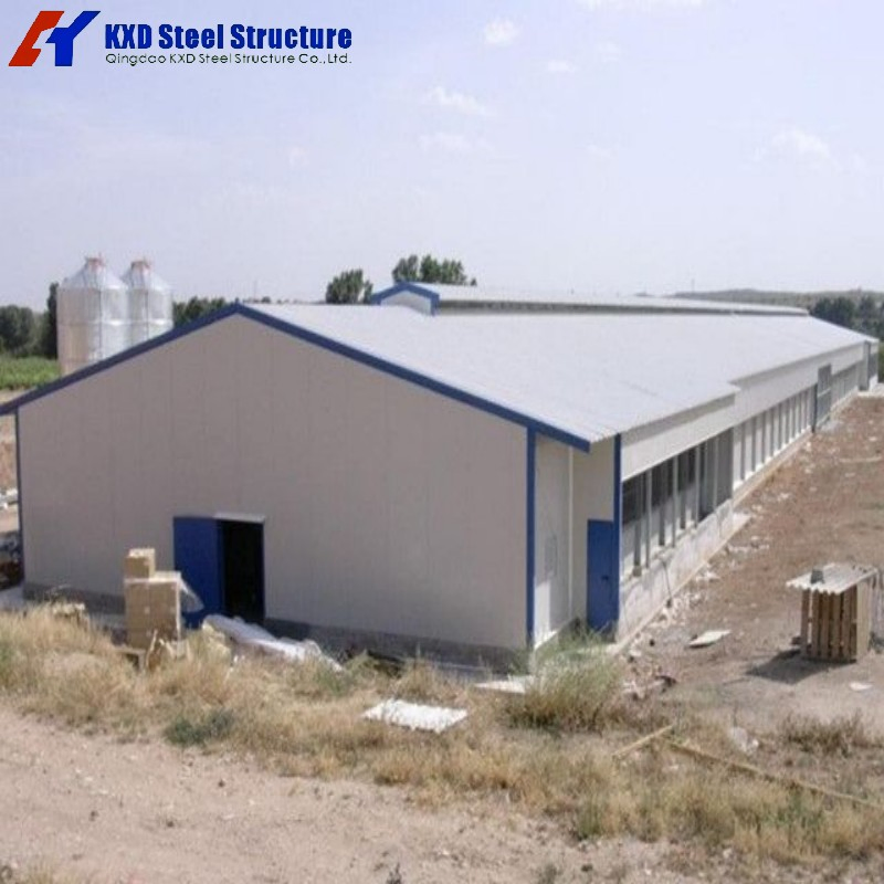Prefabricated Light Steel Structure Poultry Farm Chicken House (KXD-PCH1)