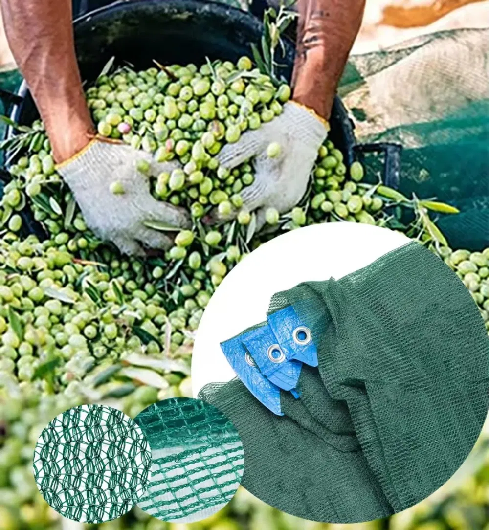 Wholesale HDPE 85GSM Olive Harvest Net with Reinforcement Edge