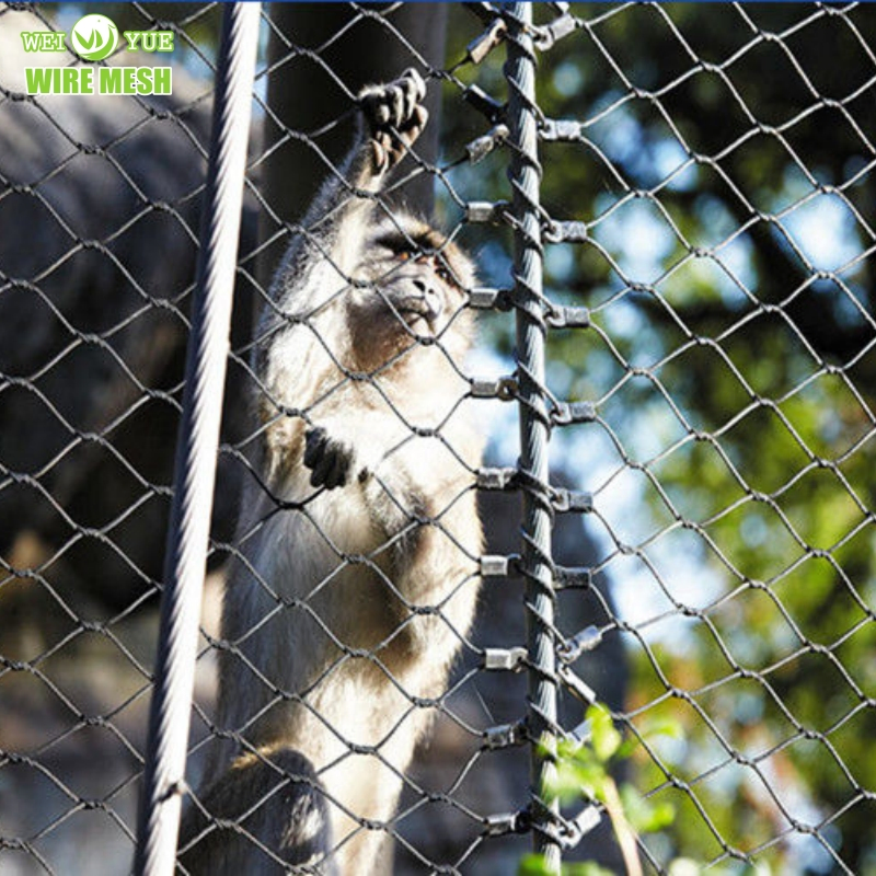 Ss 304 Ss 316 Stainless Steel Wire Rope Mesh Stainless Steel Ferrule Rope Mesh for Sale