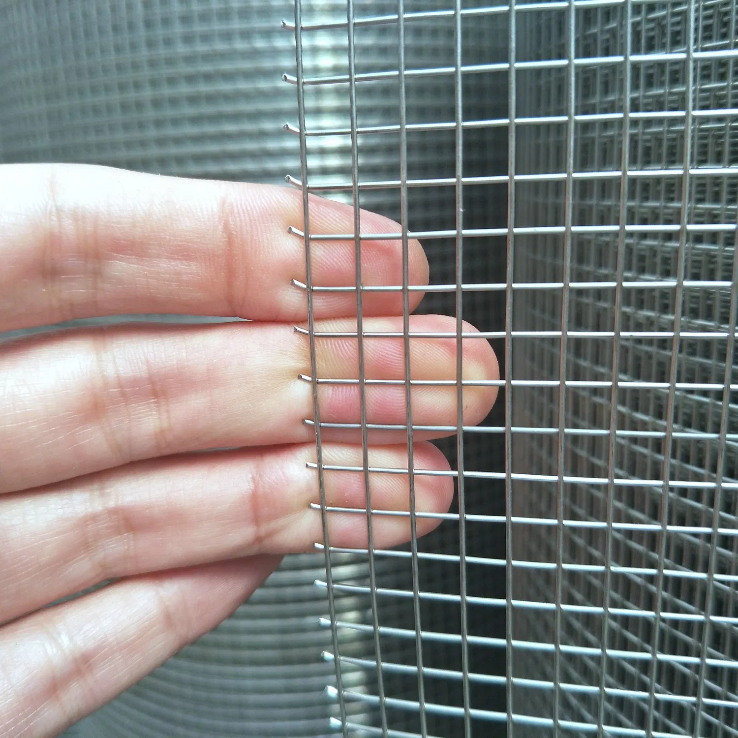 Fireproofing Stainless Steel AISI SUS 304 316 Welded Wire Mesh Roll Panel Fireresisting Material Heat Insulation Bird Cage Box Mesh Wire Hardware Cloth