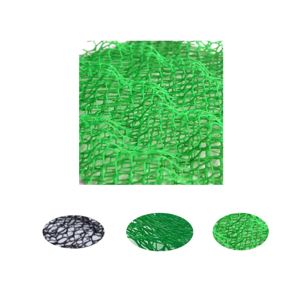 China Factory Plastic Green 3D Protective Vegetative Cover Geonet/Geomat Grass Paving Erosion Control Mat