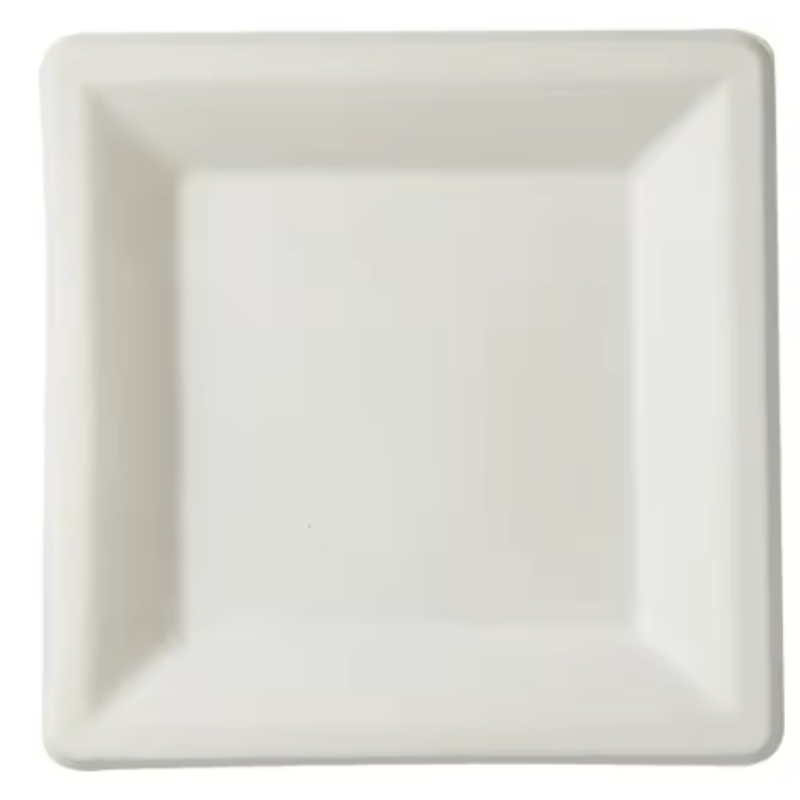Premium Square Takeaway Food Plates in Multiple Sizes