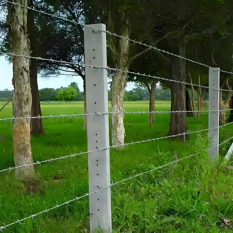 Factory Direct Galvanized Barbed Wire for Effective Fencing Solutions