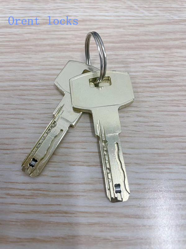 High Quality Door Lock Computer Cylinder with Snake Keyway & Roller Pin