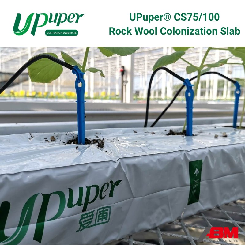 Upuper® CS Series Colonization Slab Commercial Greenhouses Cultivation Strip Agricultural Rock Wool Rectangle Grow Slabs