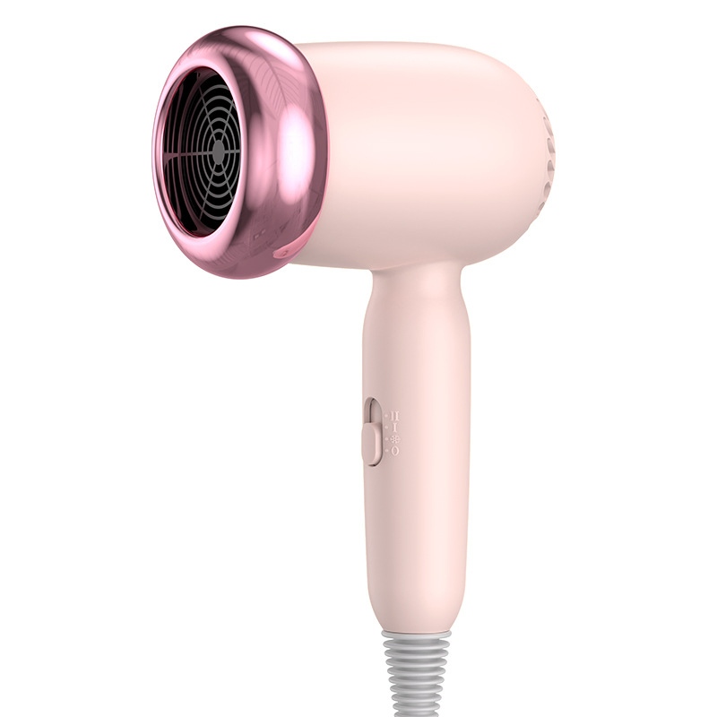 800W Professional Portable Household Blow Dryer Hotel Home Salon Use Electric Professional Hair Dryer Wholesale