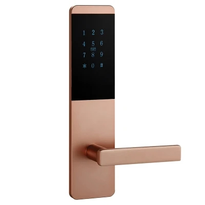 Factory Price Stainless Steel Yellow Brass Door Window Safety Electronic Lock