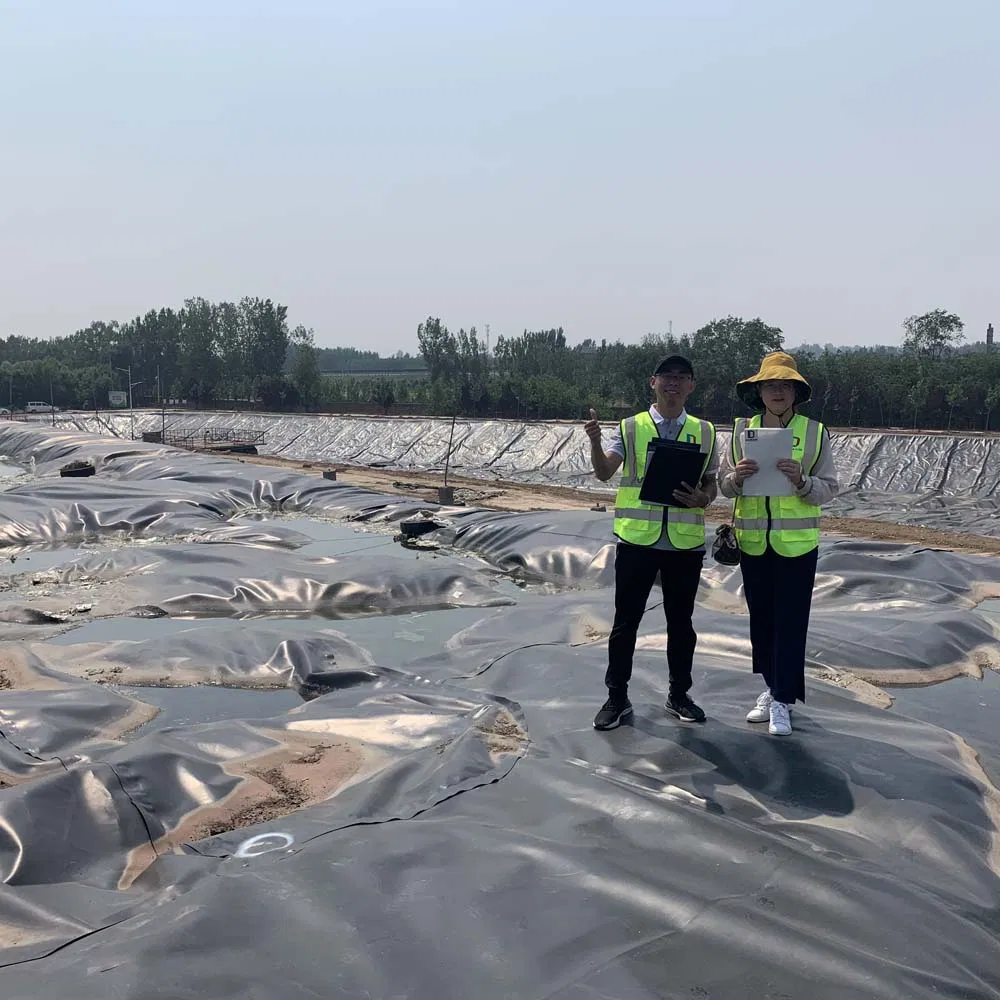 HDPE Geomembranes Pond Liners 1mm Geomenbrana for Fish Farming Pond Dam Mining Reservoir
