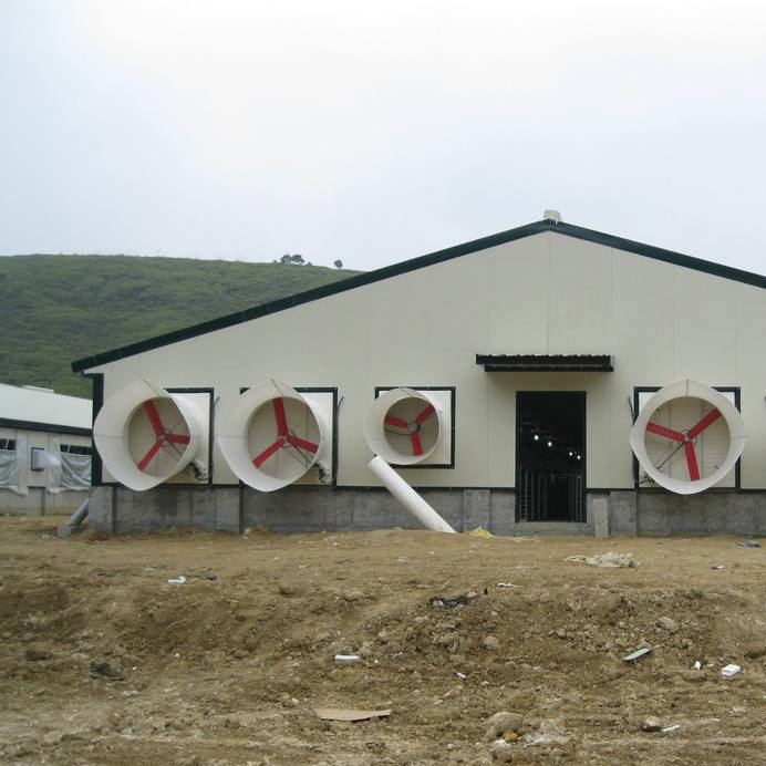 Low Cost Pheasantry Steel Structure Farm