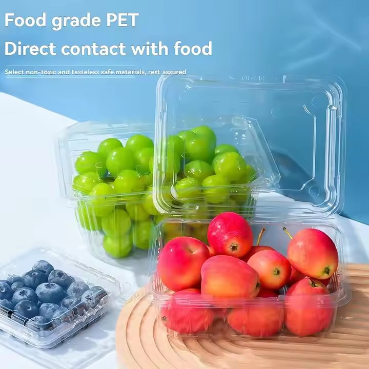 Plastic Plant Pot Suppliers Compostable Per Sushi Box Logo Seaweed Disposable Takeaway