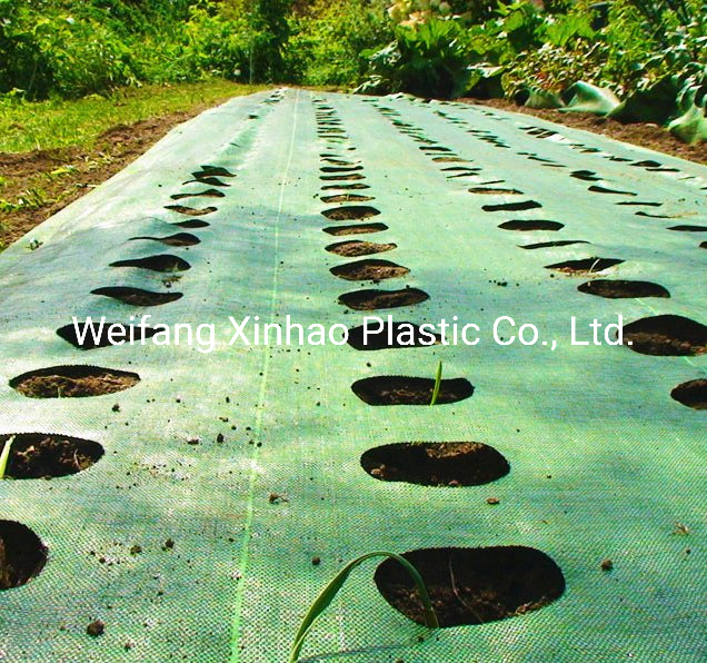 100g 3.5oz Weed Mat with Holes