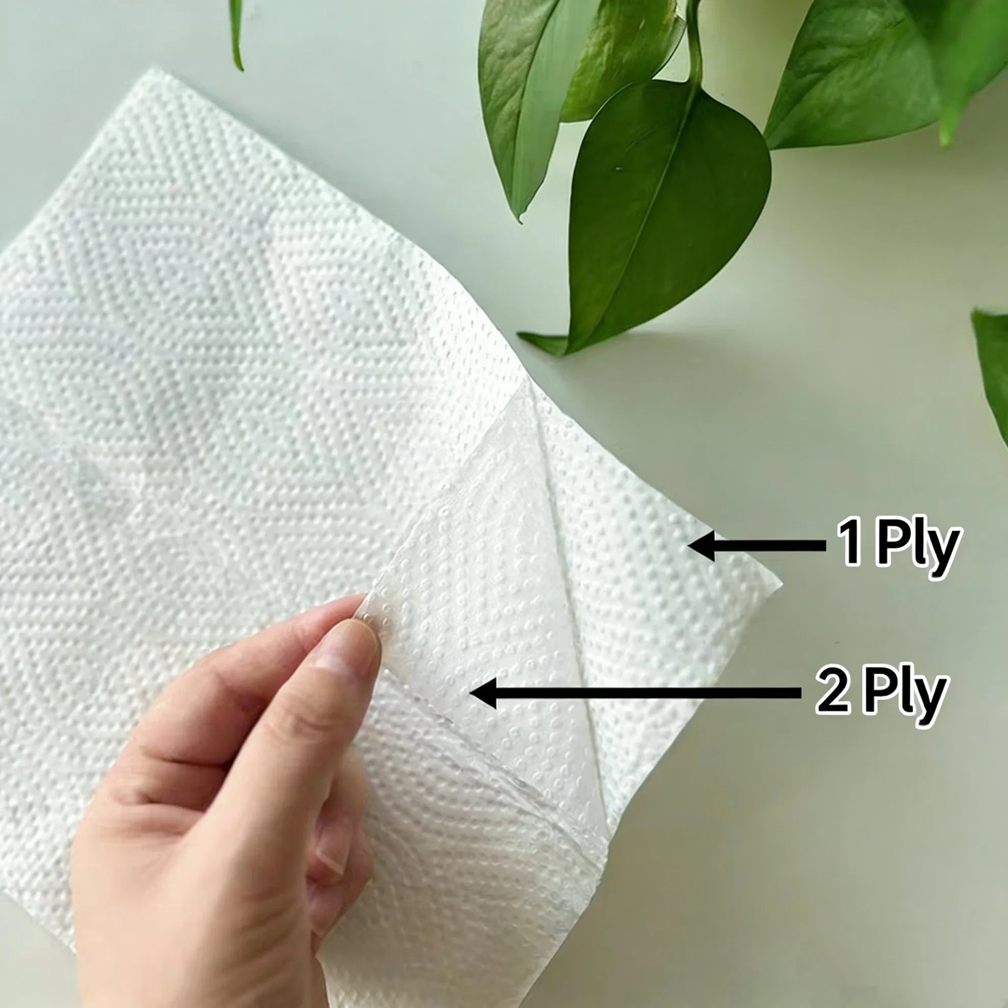 Factory Direct Supply 2 Ply Virgin Wood Pulp Kitchen Paper Towel and Soft Kitchen Paper Towel for Multipurpose Cleaning