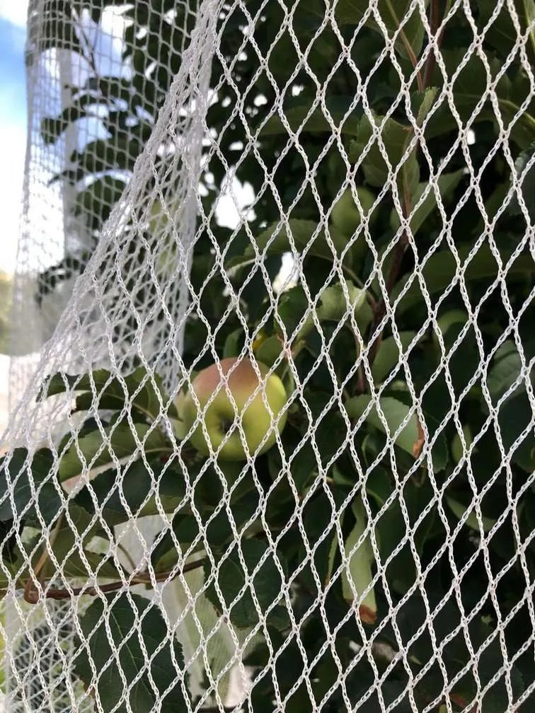 Антимоскитная сетка от птиц для сада и огорода HDPE