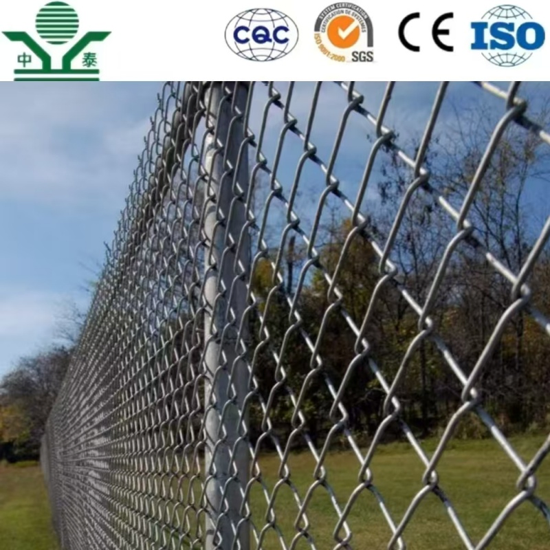 Galvanized 5.0mm 80X80mm 4.8m Chain Link Fence for Forest Boundary