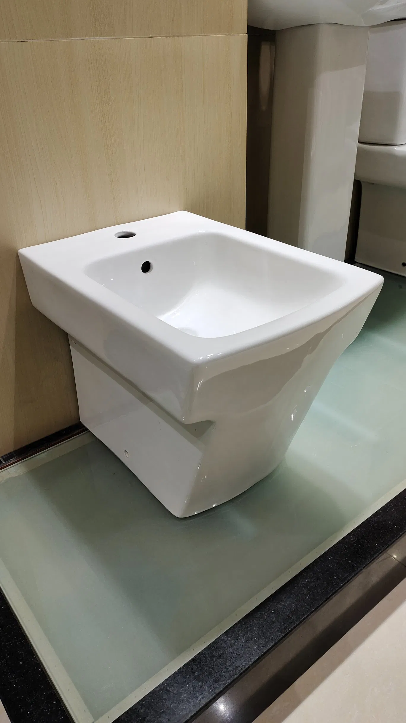 Back Floor Standing Ceramic Toilet Bidet Set Bidet Sprayer Shattaf Bidet Toilet Sprayer Portable Bidet