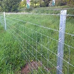 Manufacturer Fence Electric Galvanized 8FT T Post Wire Mesh Field Fence Farm Fence