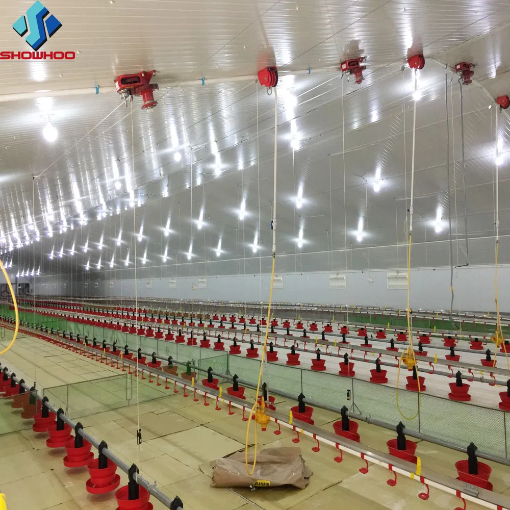 Professional Cheap Layer House Farm/Broiler Chicken House with Equipment Supplier in China Listed Company