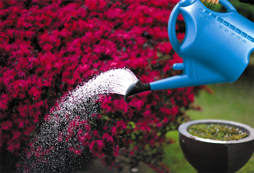 Seesa Shixia 8L Plastic Garden Tool Household Watering Can&Watering Pot (SX-610-80(PE))