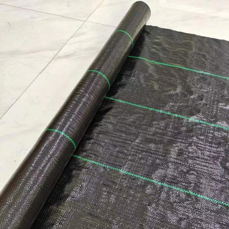 UV Protection Agricultural/Landscape Garden Biodegradable Plastic/PP Woven Geotextile/Ground Cover/Anti Grass Weed Control