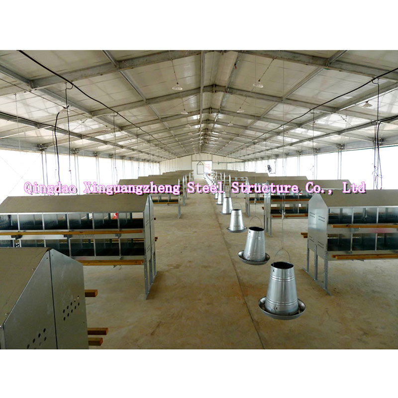 Modern Automatic Steel Structure Chicken House Poultry Farm Building with Equipment for Mall Application