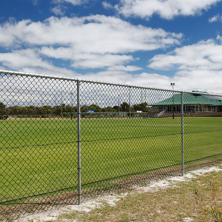 9 Gauge PVC Coated Chain Link Fence Privacy Chain Link Fence Wire