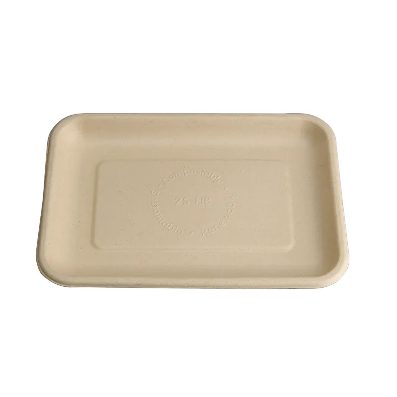 Eco Disposable Take Away Plate Sugarcane Bagasse Tray Plates Container