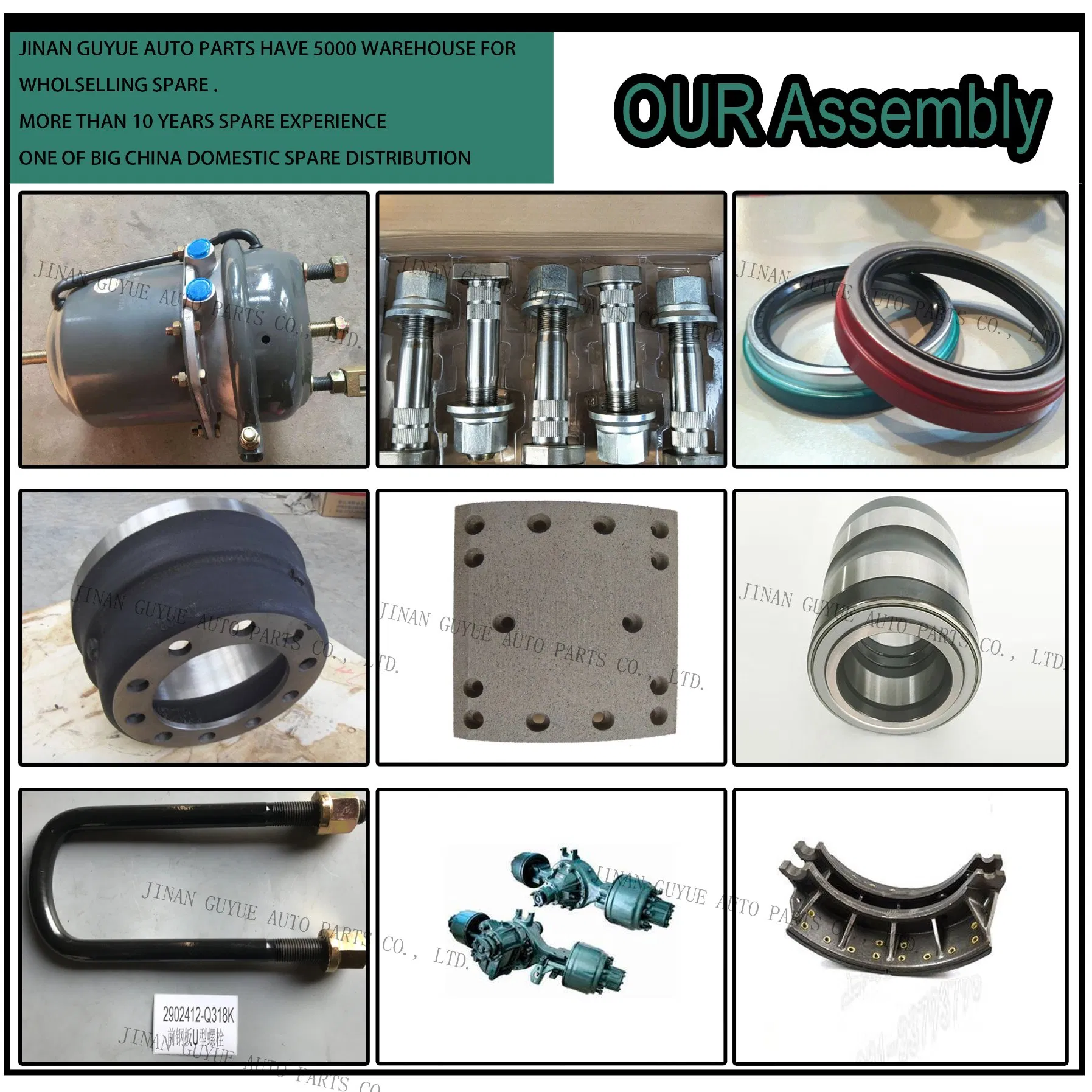 Kin Pin Repair Kit for European Trucks: Benz, MAN, DAF, Renault, Hino, Isuzu, Mitsubishi