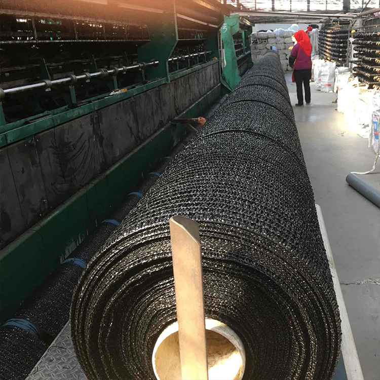 Easy and Simple to Handle 6 Needles 8 Needles Green Anti UV HDPE Windbreak Shade Netting Shade with Mosquito Net