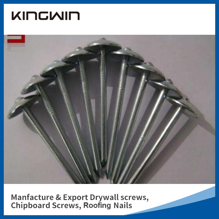 2.5"*9bwg Galvanized Umbrella Head Roofing Nails for Nigeria Market with Smooth Shank