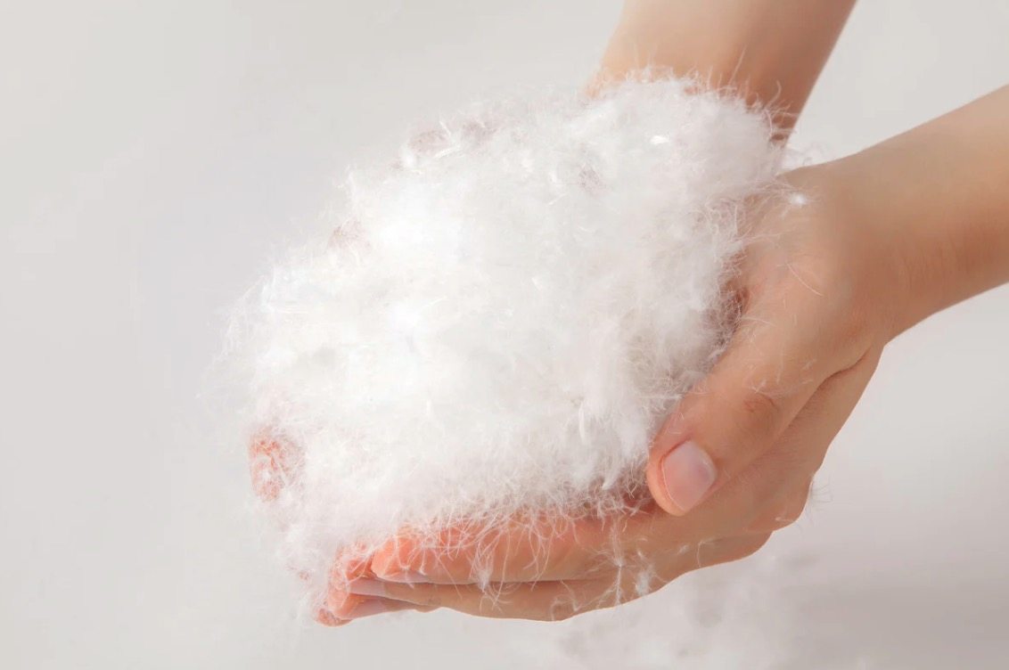 Goose Feather and Down All Seasons Comforter with 100% Cotton Cover