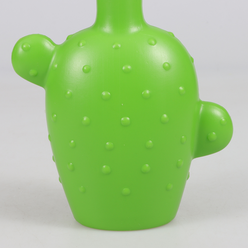 Charming 750ml Plastic Watering Can for Cactus Care