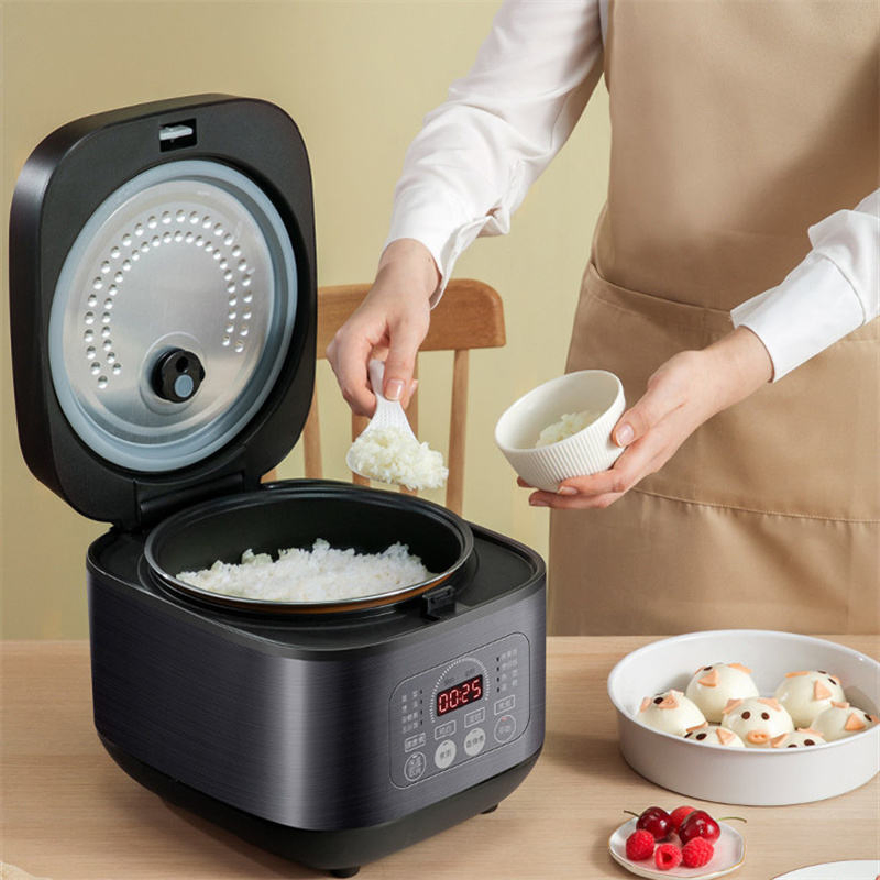 4L Large Capacity Multifunctional Appliance with 10 Preset Menus Healthy Non-Stick Inner Pot 860W Power 24h Delay and Precise Temperature Control Cooker