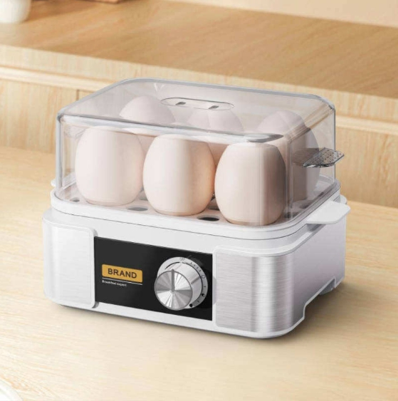 6-Egg Electric Egg Boiler with Timer and Multi-Function Features