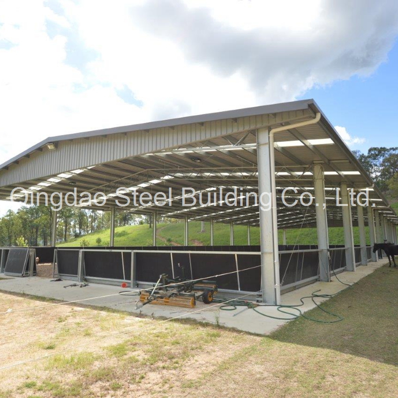 Factory Supply Customized Design Galvanized/Painted Steel Structure Covered Horse Riding Arena