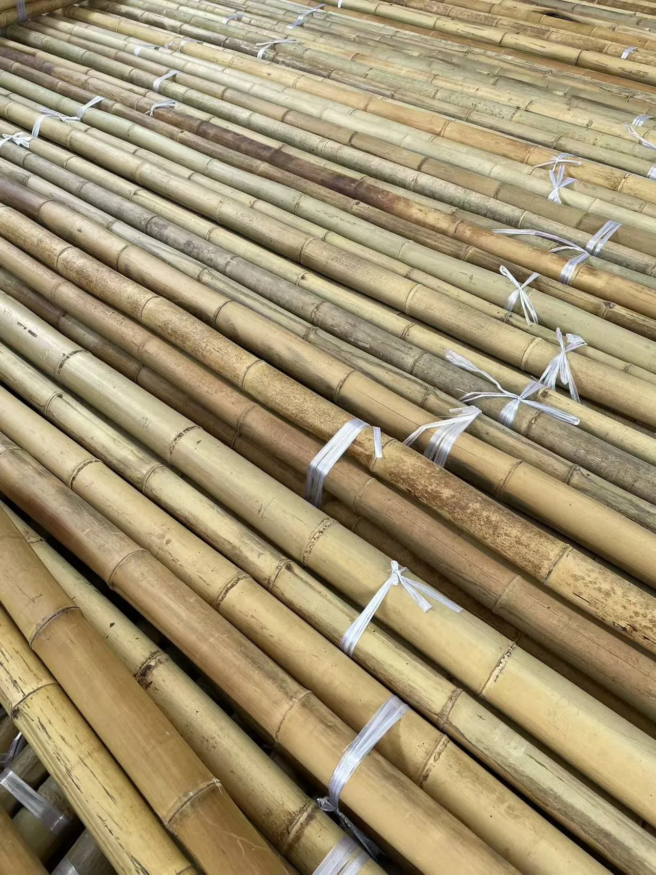 High Quality Giant Bamboo Poles for Gardening and Plant Support Bulk Order