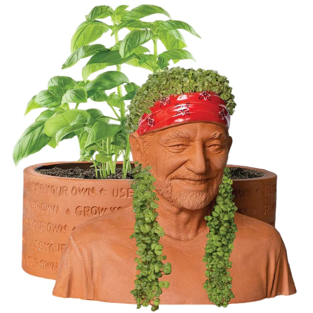 Willie Nelson Chia Pet Handmade Decorative Planter