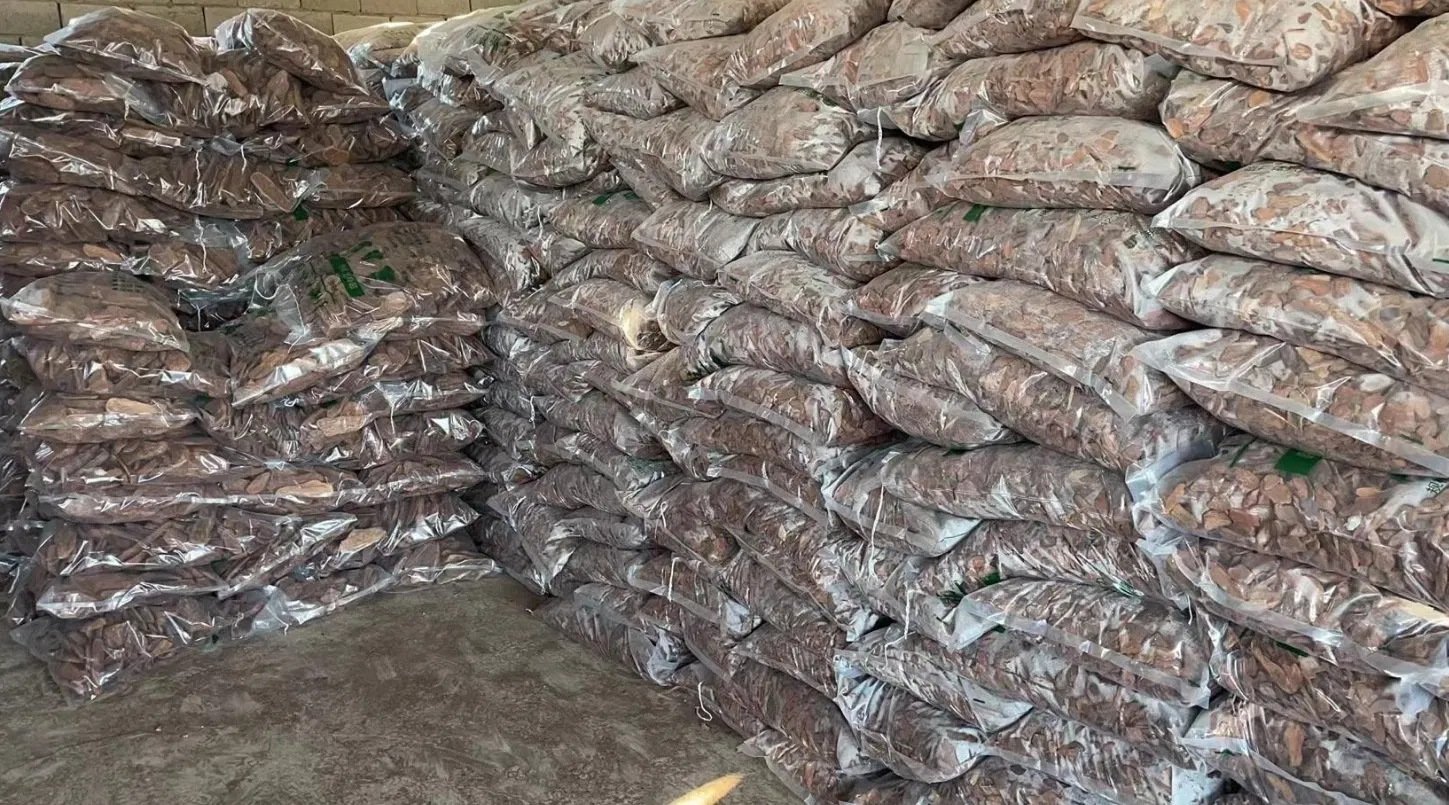 Polished 3-5cm Lightweight Pine Shredded Garden Wood Bark