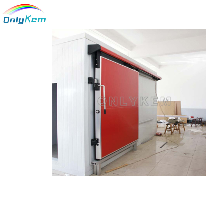 Cold Room Door Electric Automatic Stainless Steel Sliding Door