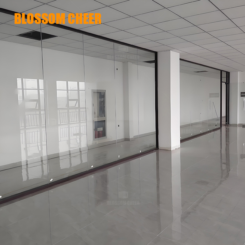 Minimalist Office Internal Glass Partition Wall Door System with Single or Double Panels