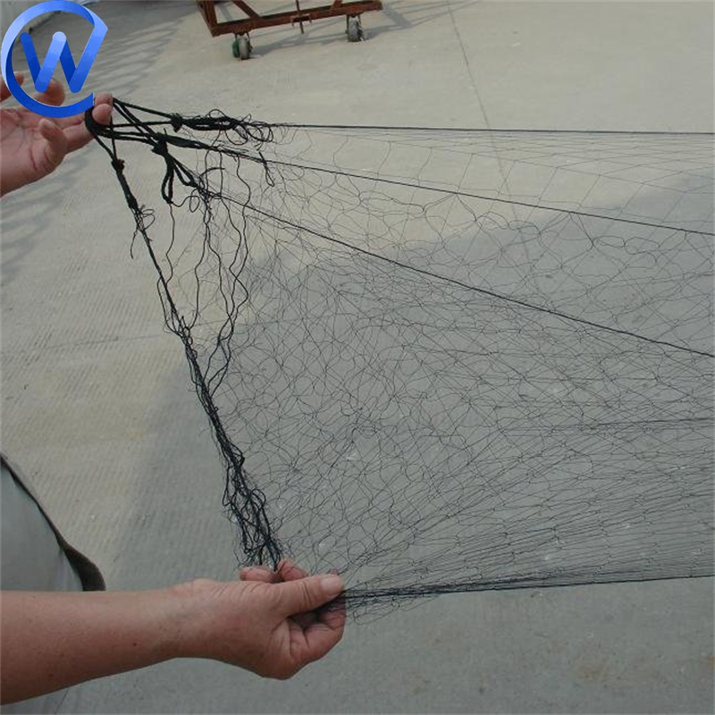 Hunt Birds Nets Catching Birds Mist Netting