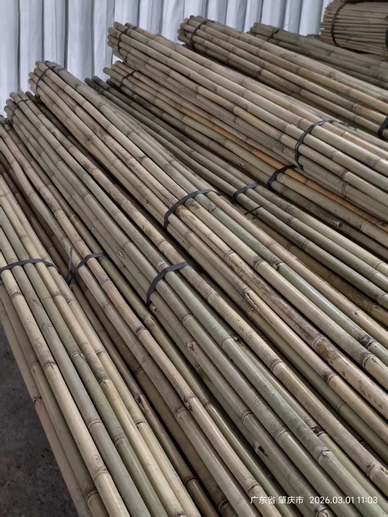 Tonkin Bamboo Pole Stake Stick Cane for Plant/Tree/Flower Support Bamboo F