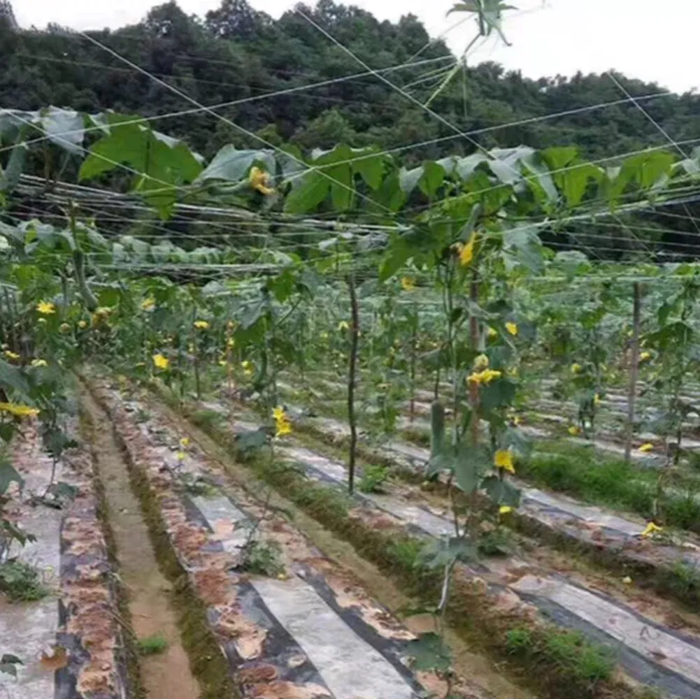 High Quality Green 130mm Plant Climbing Pea Cucumber Support Plastic Mesh Netting