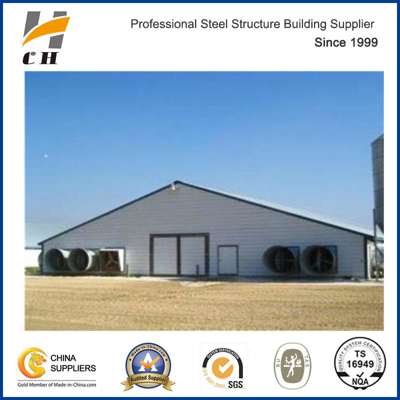 Steel Structure Chicken Poultry Building