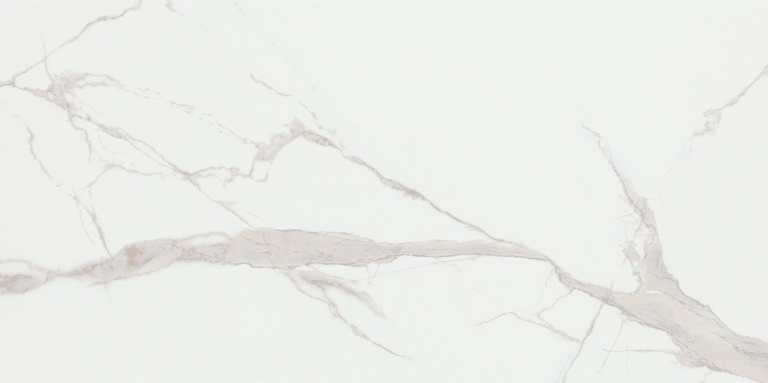 Chinese White Porcelain Wall Floor Tiles 300 X 600